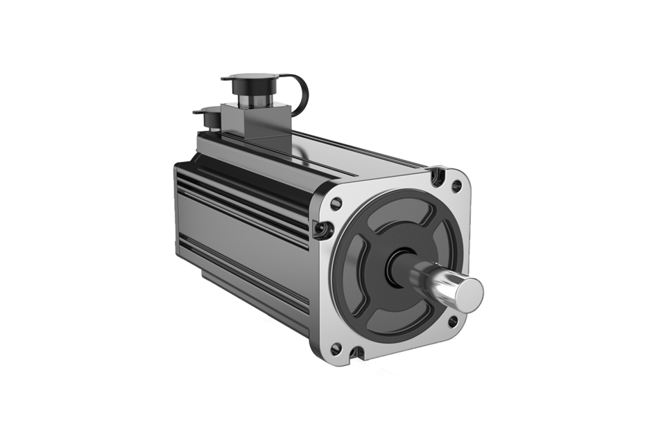 1691664675815902.png wkd (2).png